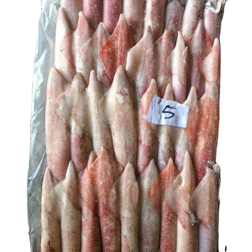 FRESH FROZEN INDONESIAN SQUID MOST POPULAR STANDARD