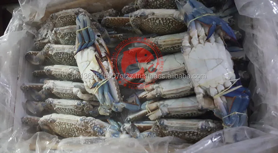 Frozen Blue Swimming Crab Whole Pakistani Origin Whole Blue Swimming Crab For Export in Bulk Quantity