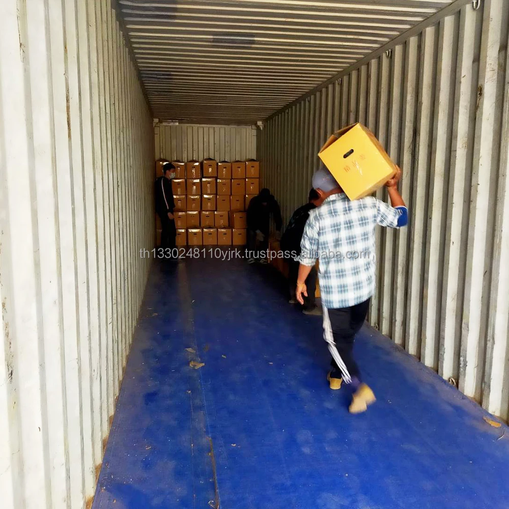 Best Export Quality Thailand Fresh Matured Gingers