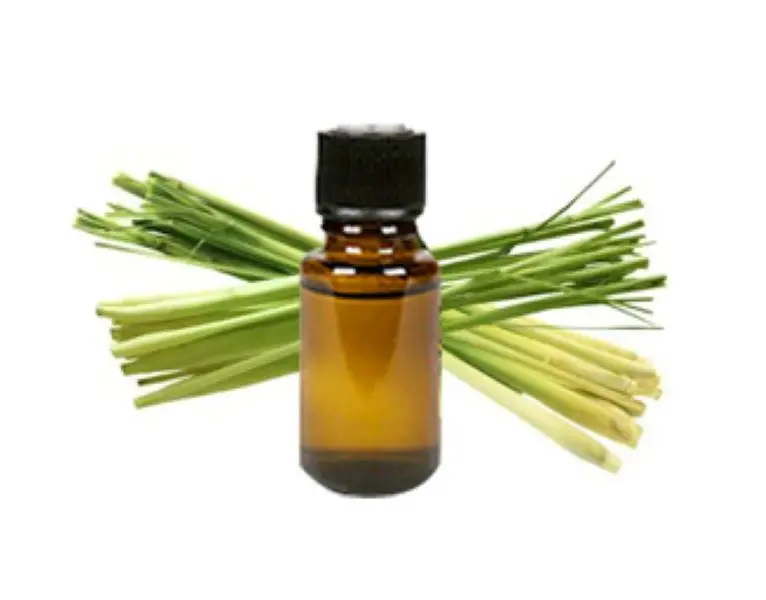 High-quality 10ml lemongrass essential oil, pure and natural from a premium brand