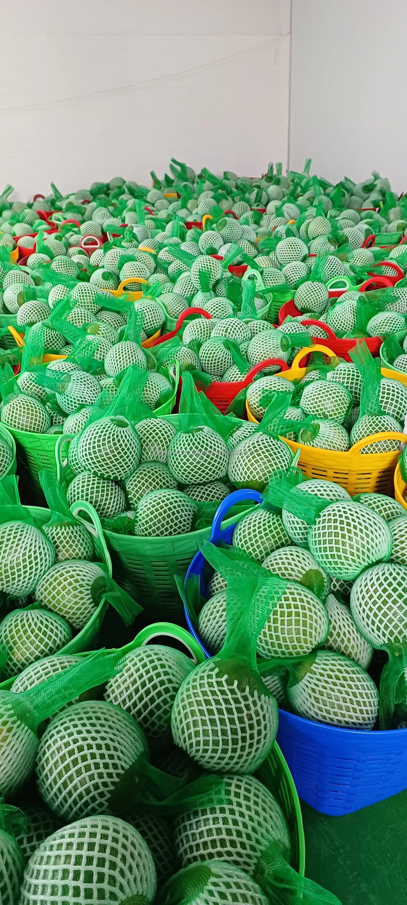 Vietnam Food Common Agriculture 100% Fresh Pomelo Fruit Sour Sweet Cool Storage Agriculture Green Pomelo