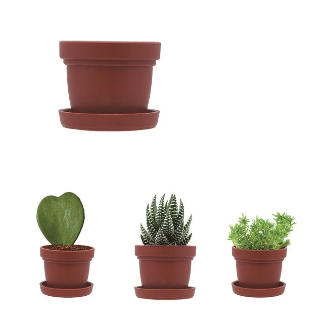 Min planter pots for live succulents