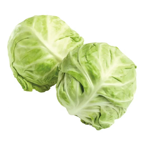 Fresh Cabbages,Fresh round cabbages