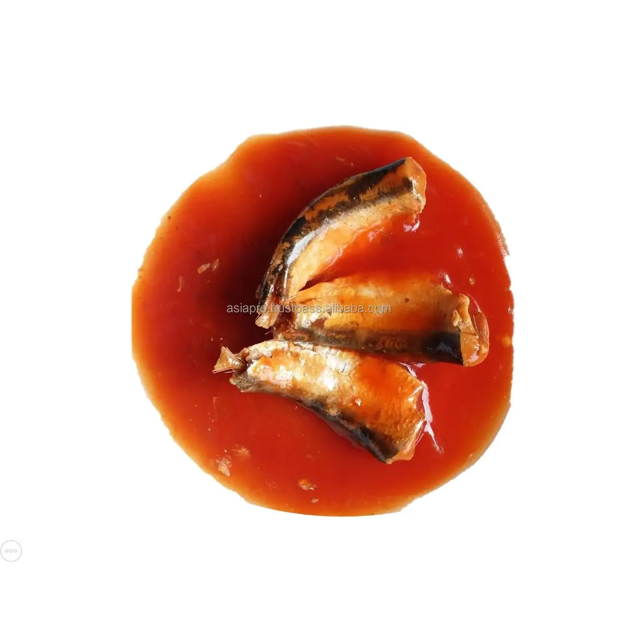 Canned Sardines in Oil & Mackerel in Tomato Sauce  OEM Brand  Quality from Thailand  Best Prices