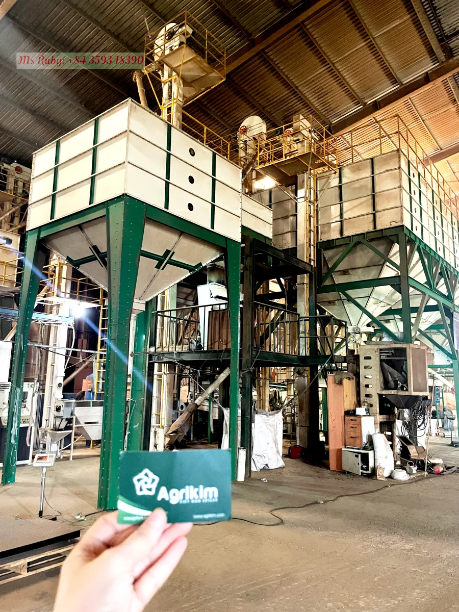 Best Price Robusta Coffee Bean from Vietnam Raw Green Coffee in Bag Packaging Directly Supplied by Mr. Henry +84 36 859 1192