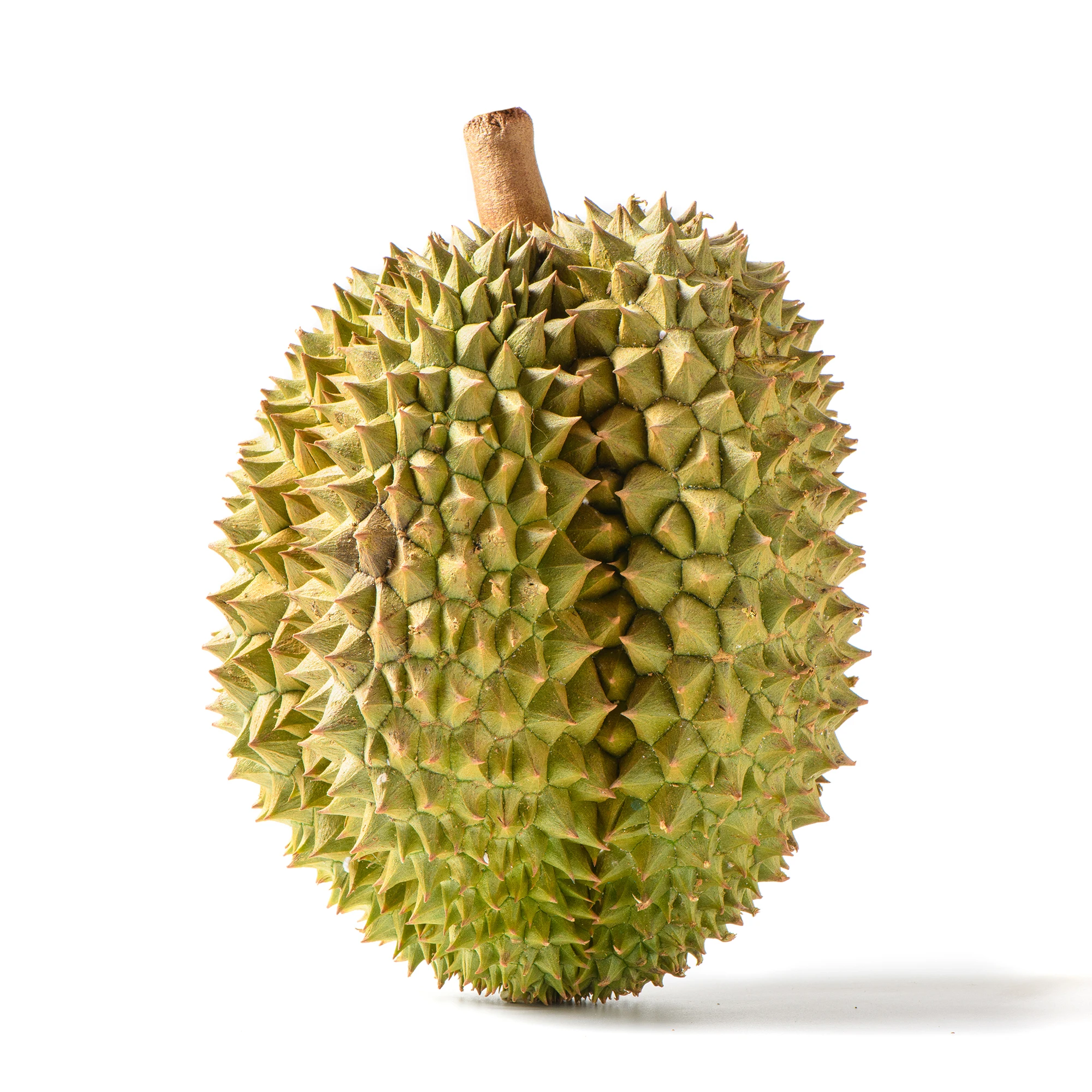 Fresh durians premium Monthong Durian fresh whole Thai fruit specially selected Fresh durian from thailand