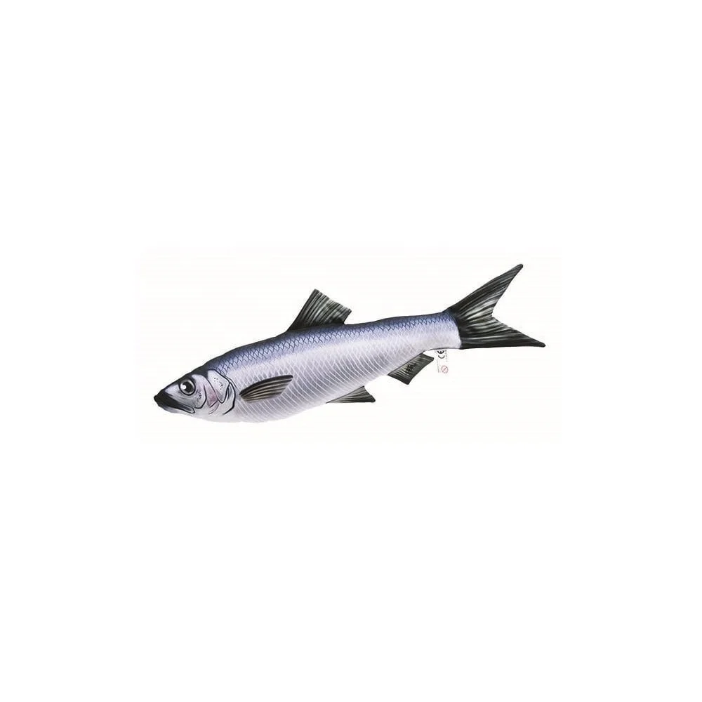 Herring Fish Dried high quality