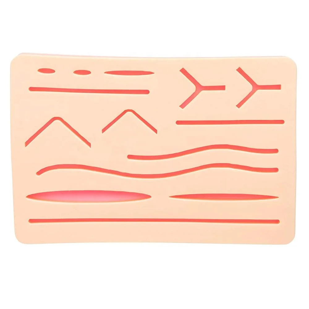 Medical Science Training Material Anatomical Model Silicone and PVC Suture Practice Skin by Apto Enterprises