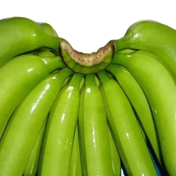 THE PREMIUM FRESH CAVENDISH BANANA