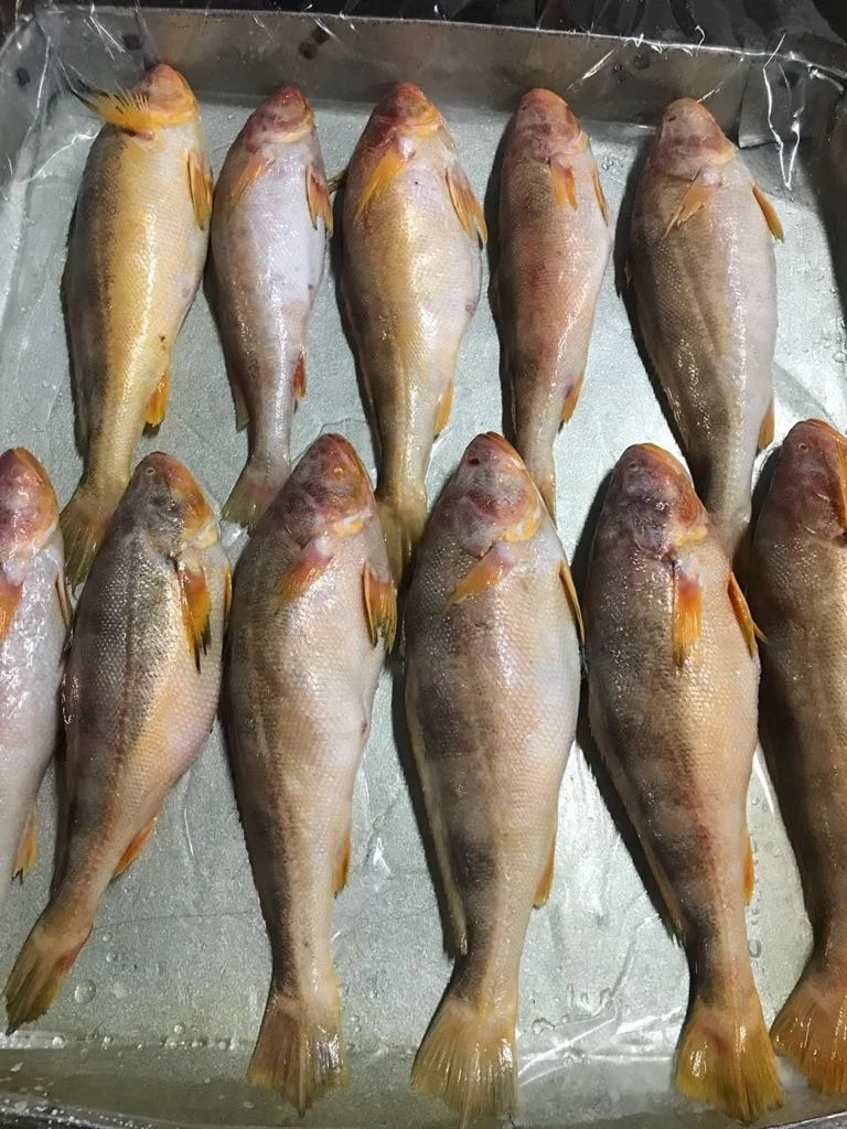 CHEAP FACTORY PRICE INDIAN SUPPLY TT CROCKER SEAFOOD