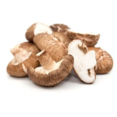 Organic Dried Shiitake Mushroom Dried Food High Quality Shiitake Mushroom Wholesale Price For Taiwan buyer
