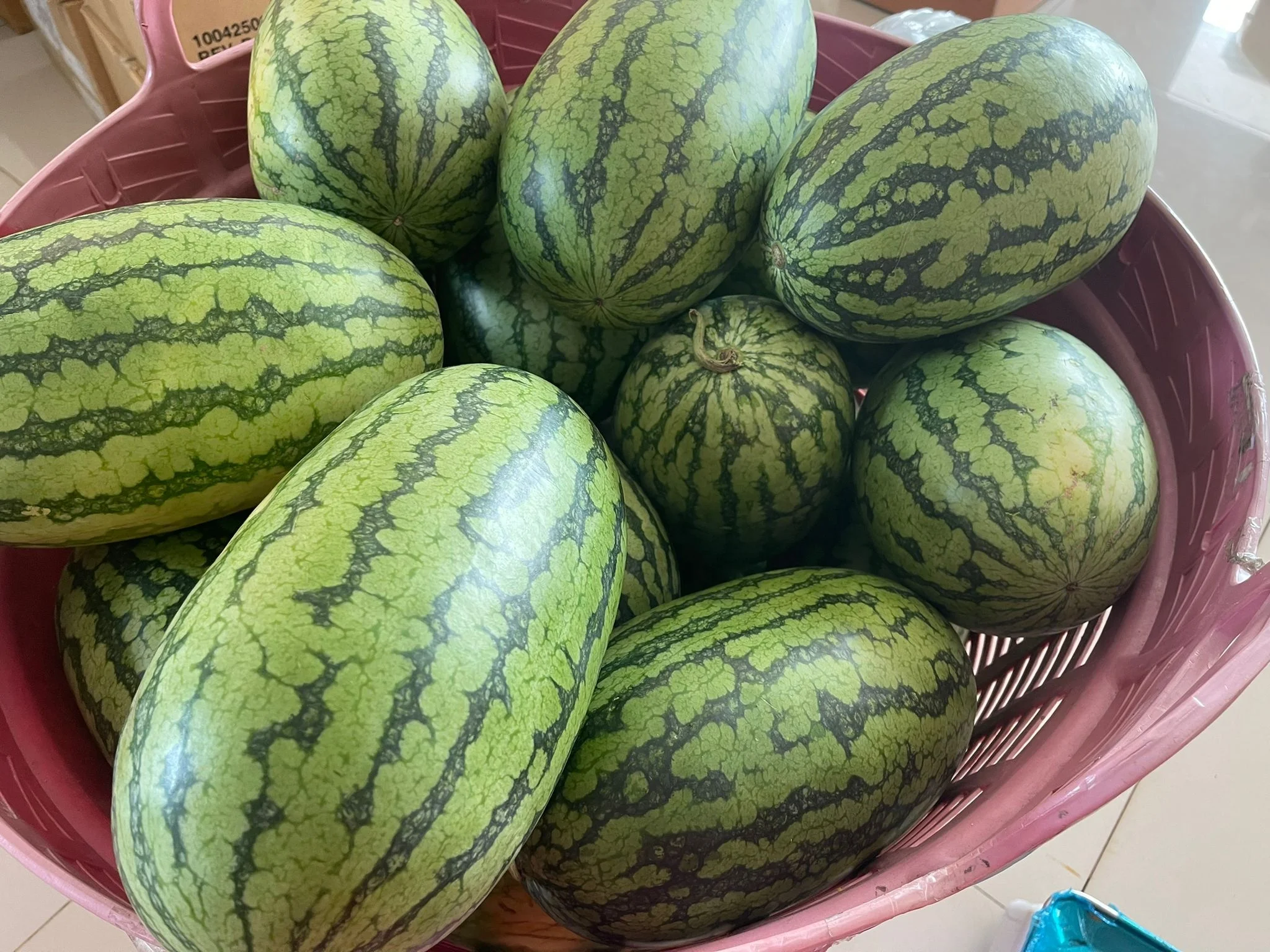 Yellow Water Melon
