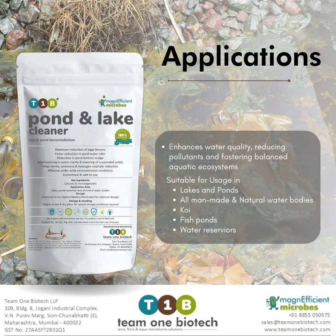 Pond and Lake Bioculture to Reduce Pollutants and Enhances Water Clarity