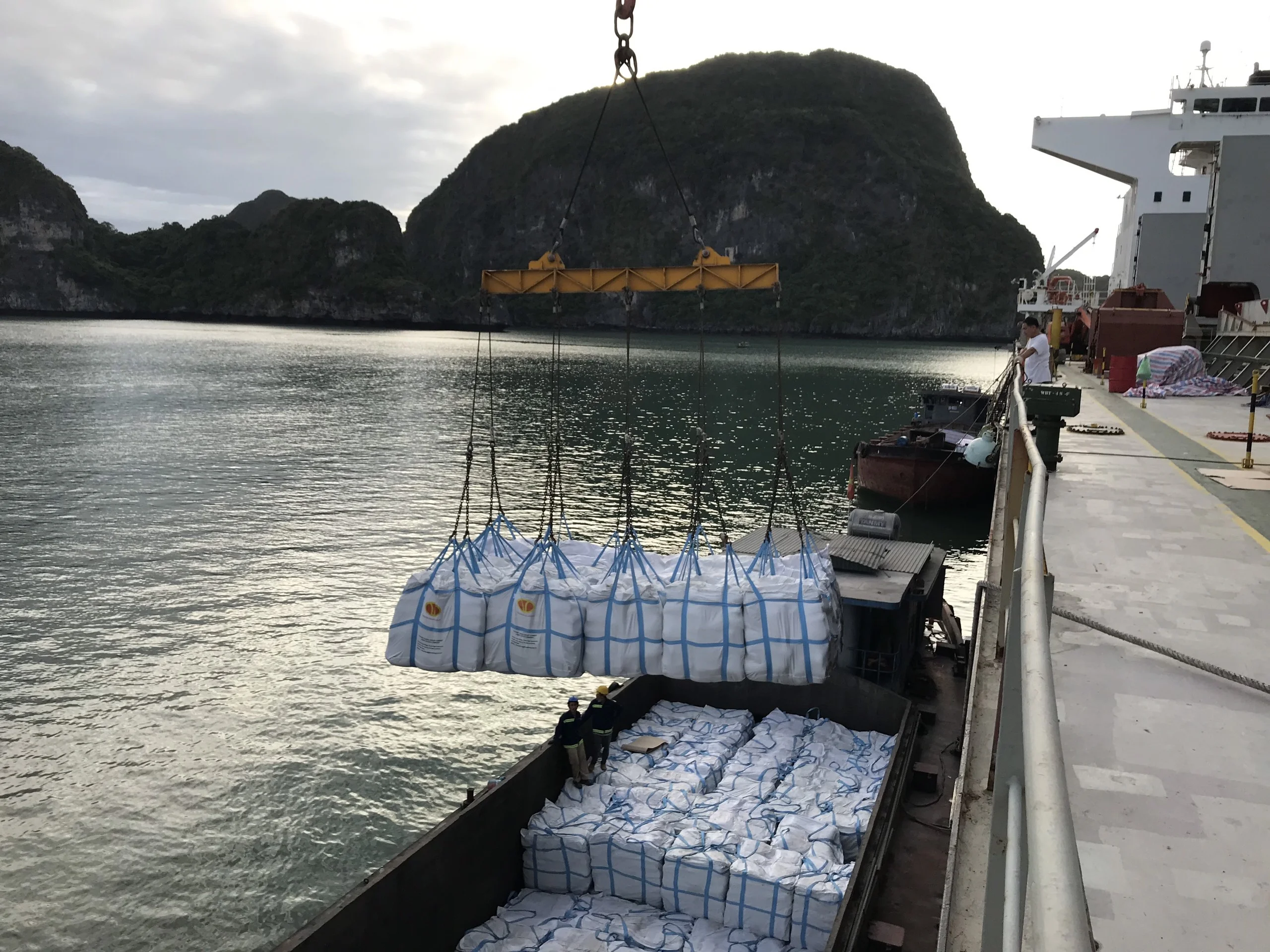 
Portland Cement CEM II 42.5N & R 