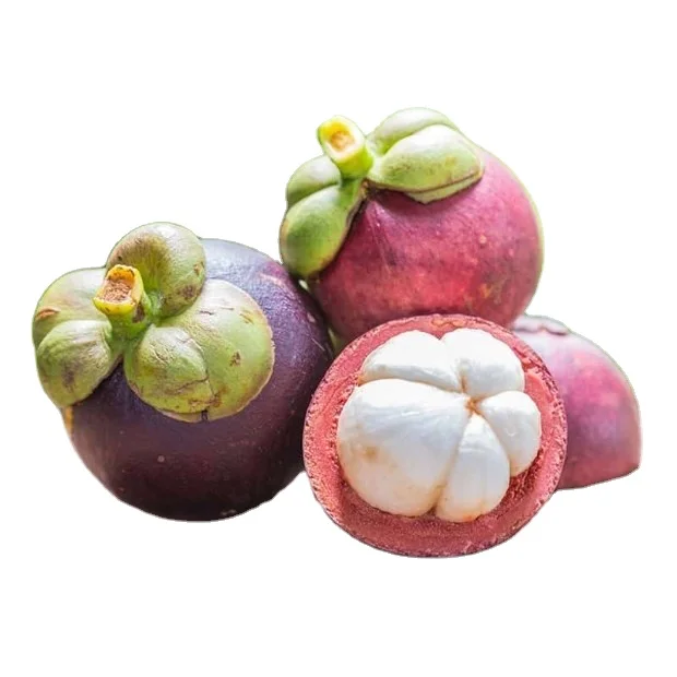 Fresh Mangosteen Fruit From Vietnam