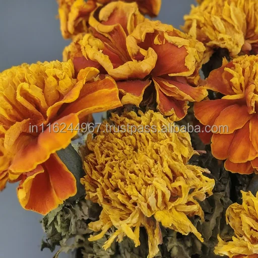 Most Selling Ornamental Plants Artisan Dried Marigold Flower Collection Available at Wholesale Price from India