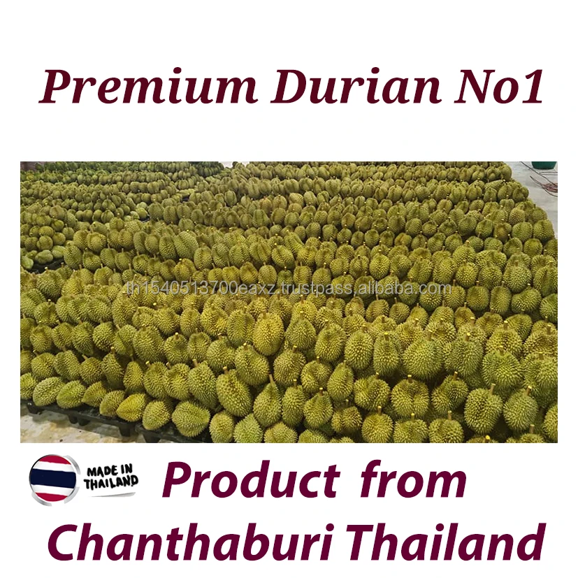 Premium  Durians Monthong from Thailand