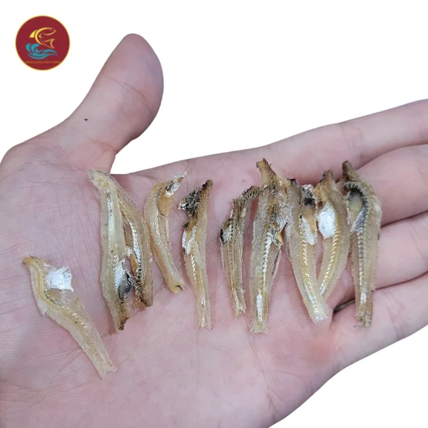2022 Hot Deal Delicious Tasty Dried Anchovies Fish Fillet Salt Preserved Bulk Packed Competitive Price Fast Shipping Viet Nam