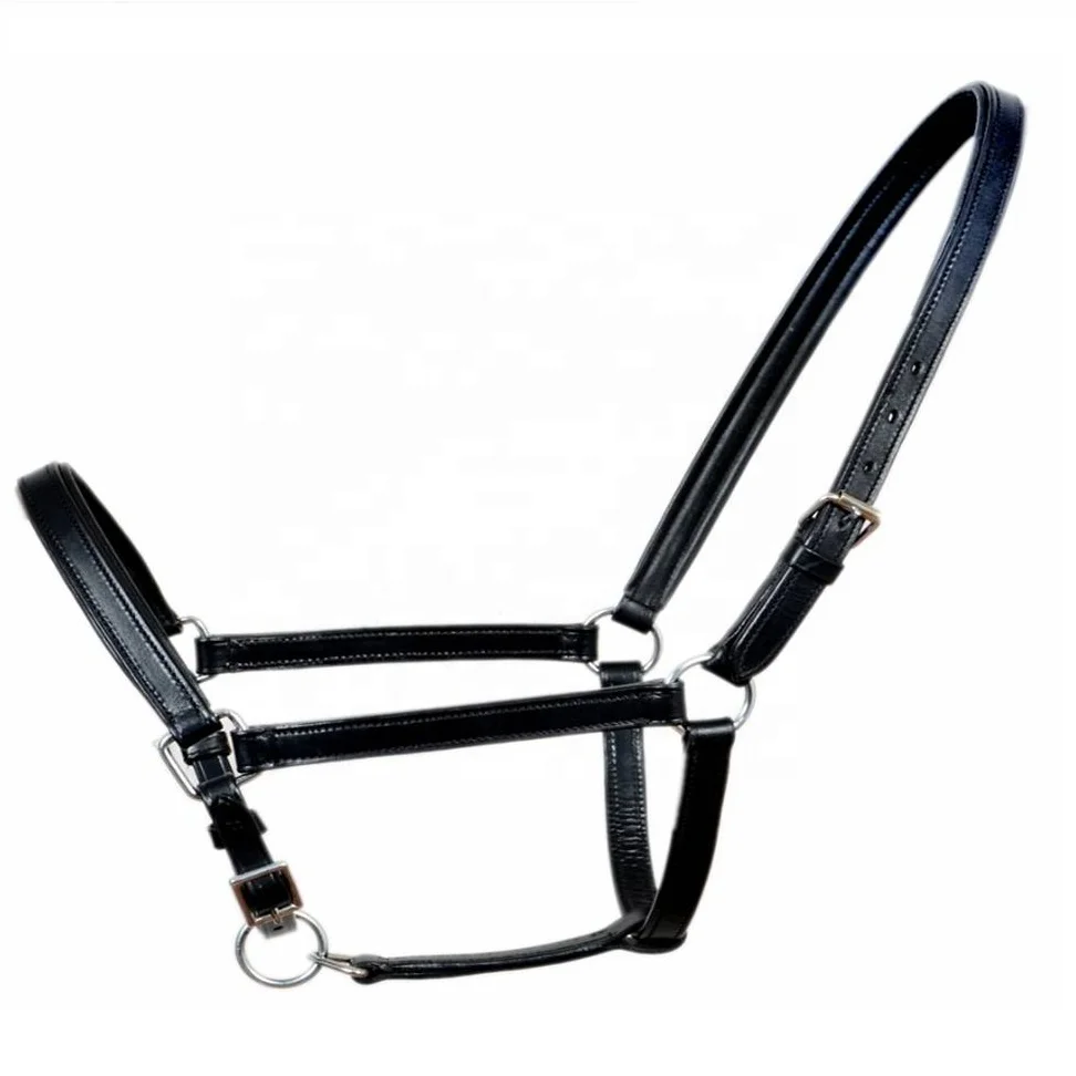 Equestrian Equipment Horse Halter with hardware Horse Riding Products horse head collar lead rope and halter