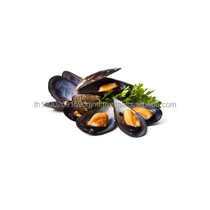 fish-mussels_1.jpg