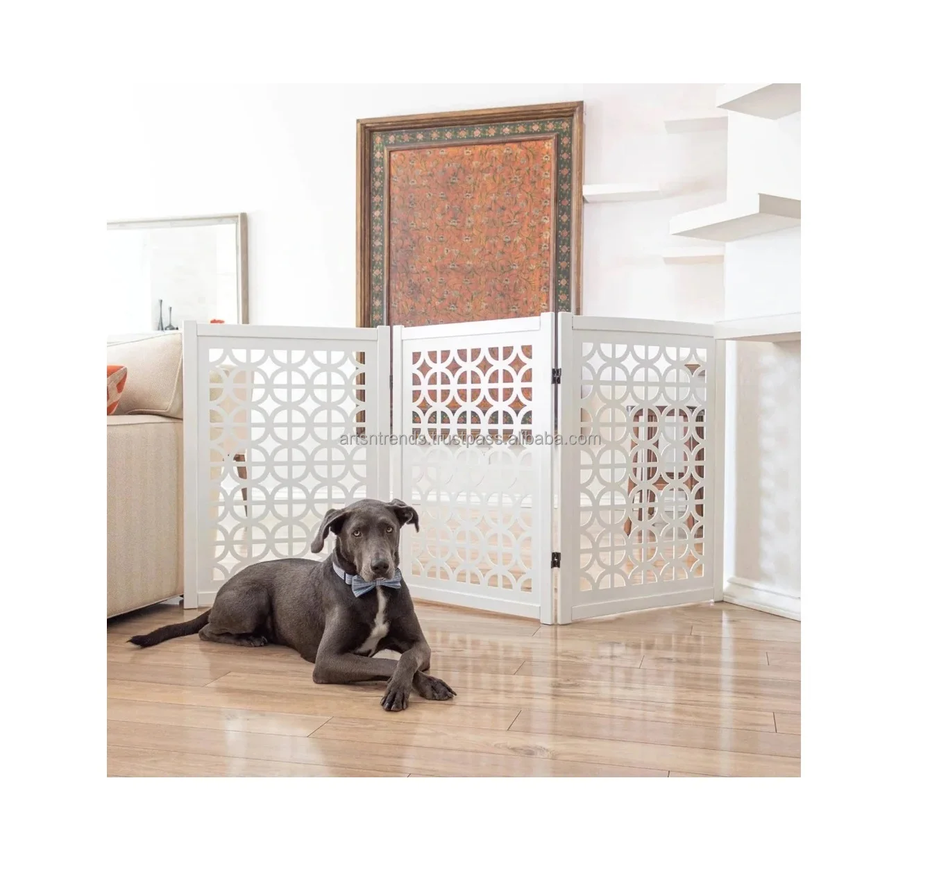 Pet Partition 25.jpg