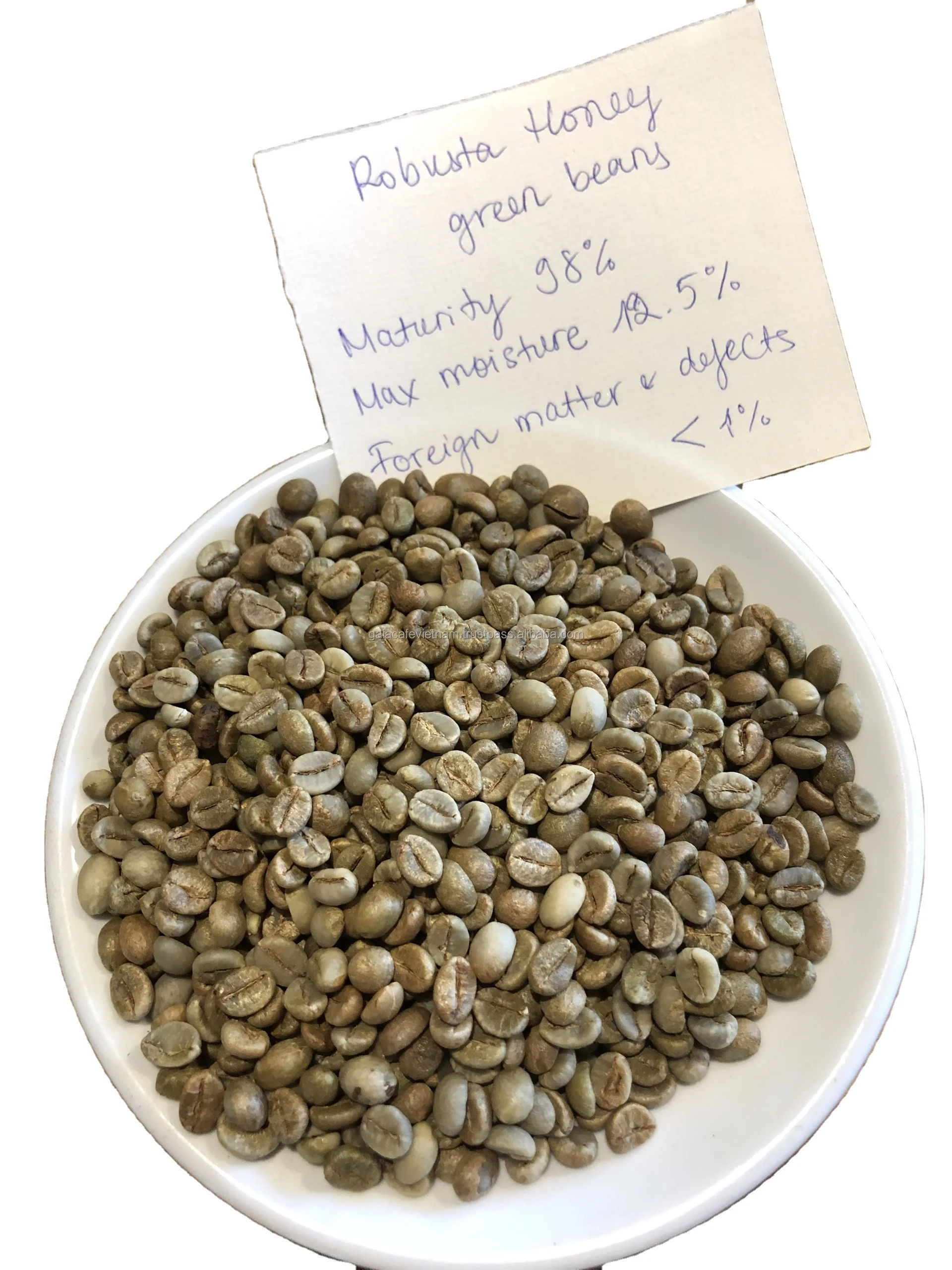 Unroasted Robusta Coffee Beans High Quality Screen 16 Honey Process  Long Shelf Life 98% Maturity from Vietnam