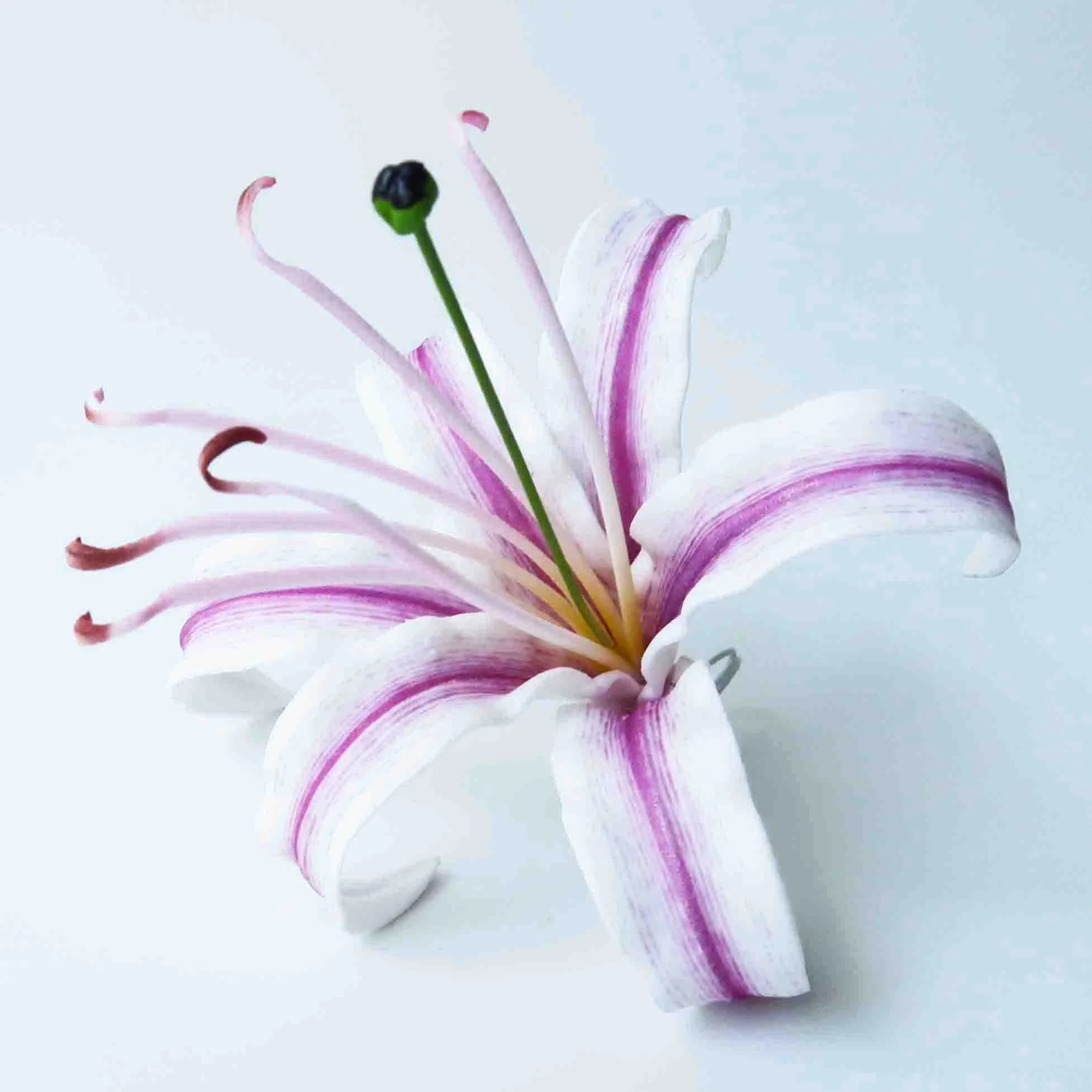 Hot seller Product from Thailand Spider Lily Foam Flower with unique brush print pattern Fashion Accessories