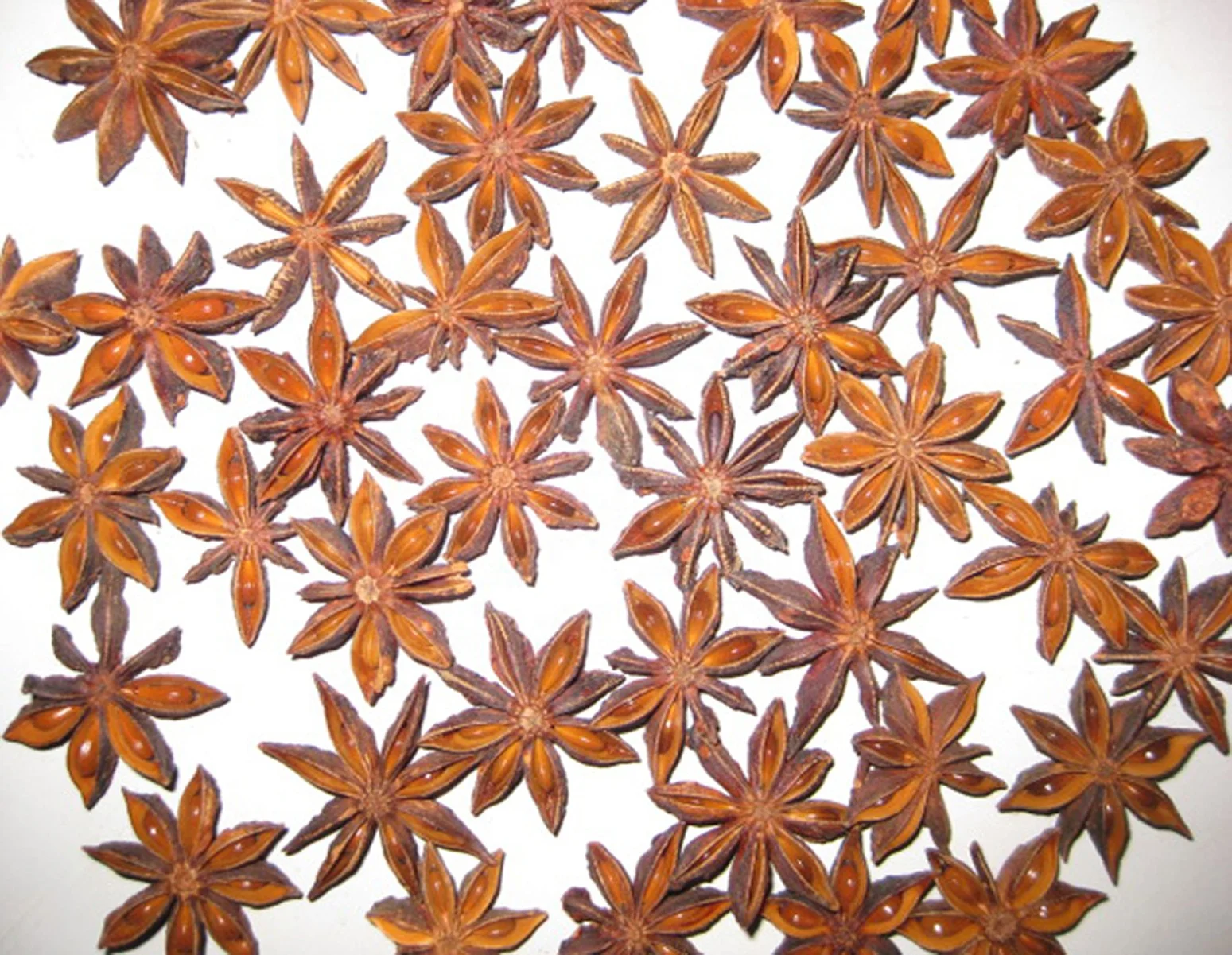 BROKEN STAR ANISEED, VIETNAM ORIGIN, GOOD QUALITY, BEST PRICE USED FOR FOOD