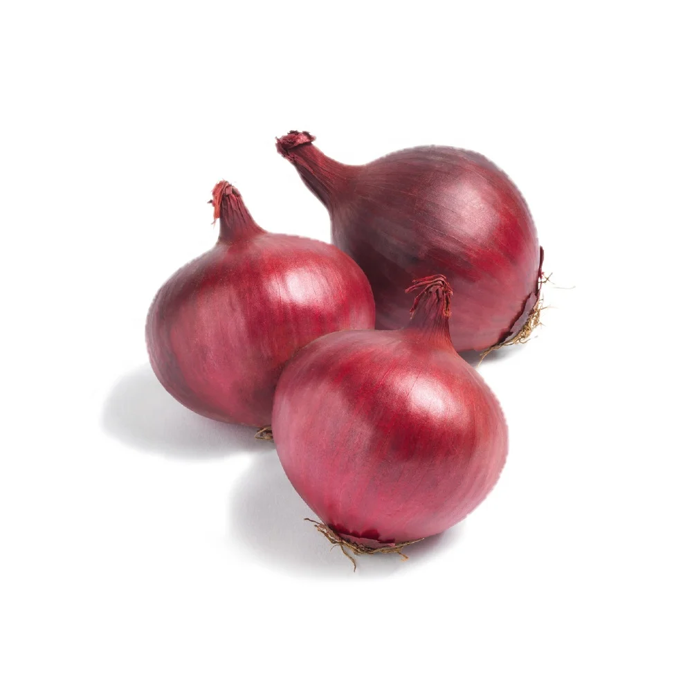 exporter wholesale Price Fresh Red Onion