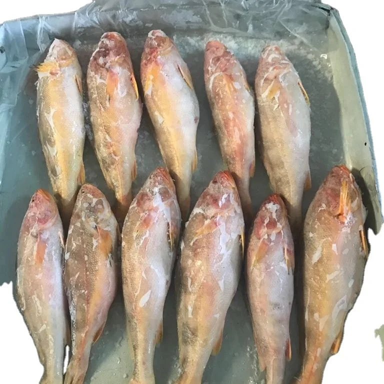 CHEAP FACTORY PRICE INDIAN SUPPLY TT CROCKER SEAFOOD