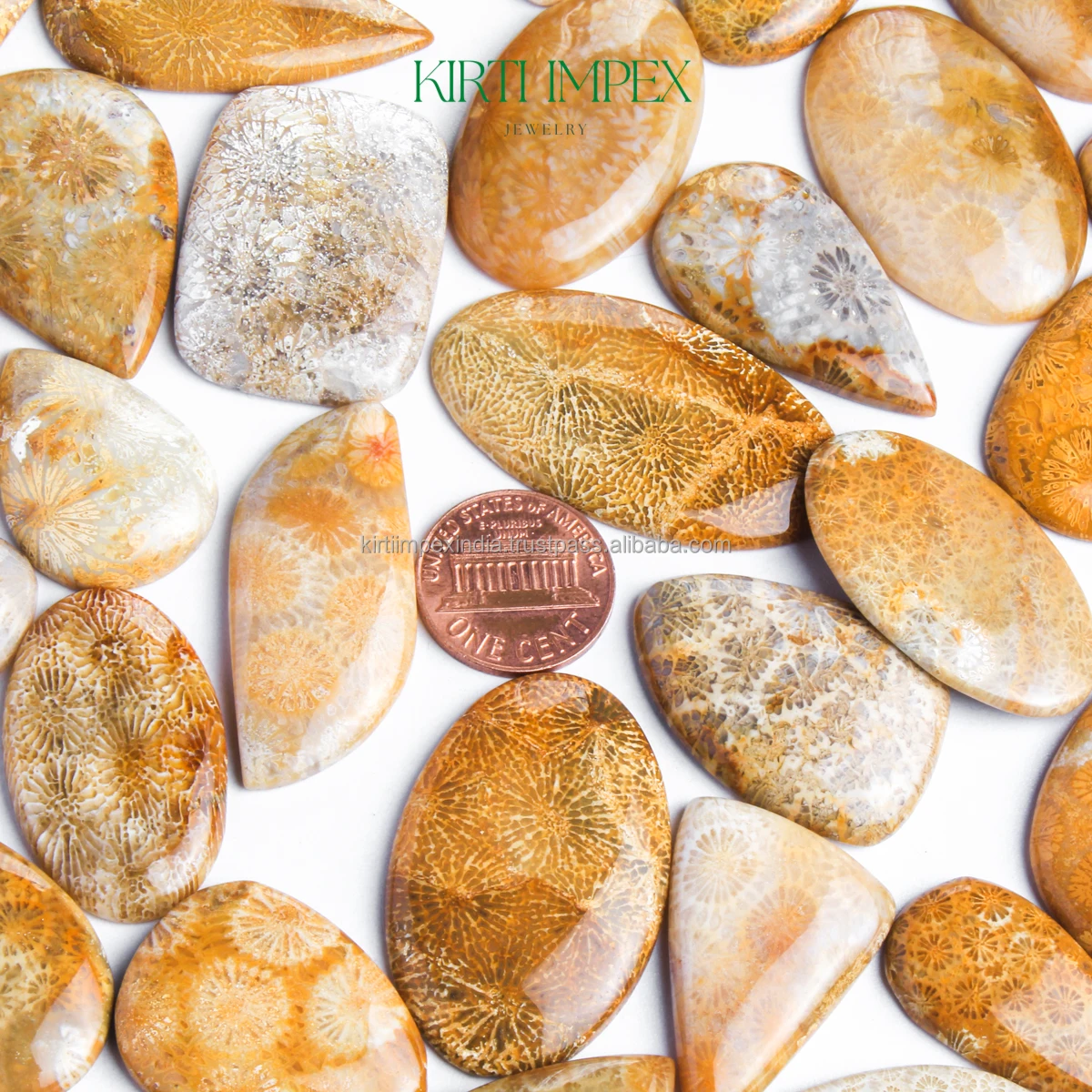 Natural Fossil Coral Cabochons Semi-Precious Loose Crystal Trending Authentic Organic Gemstones FlatBacks Fine Quality