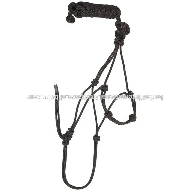 Leather Halter With Chain Lead.