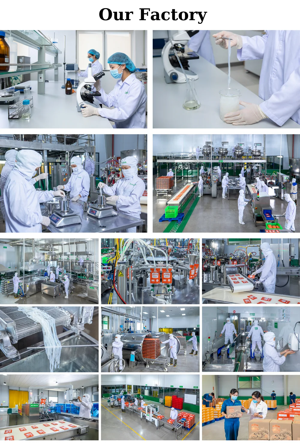 High Quality Instant Food Konjac Pho Mixed Mushroom & Vegetable Sauce Ready-to-Eat Fried with 2% Fat Content in Bag/Box