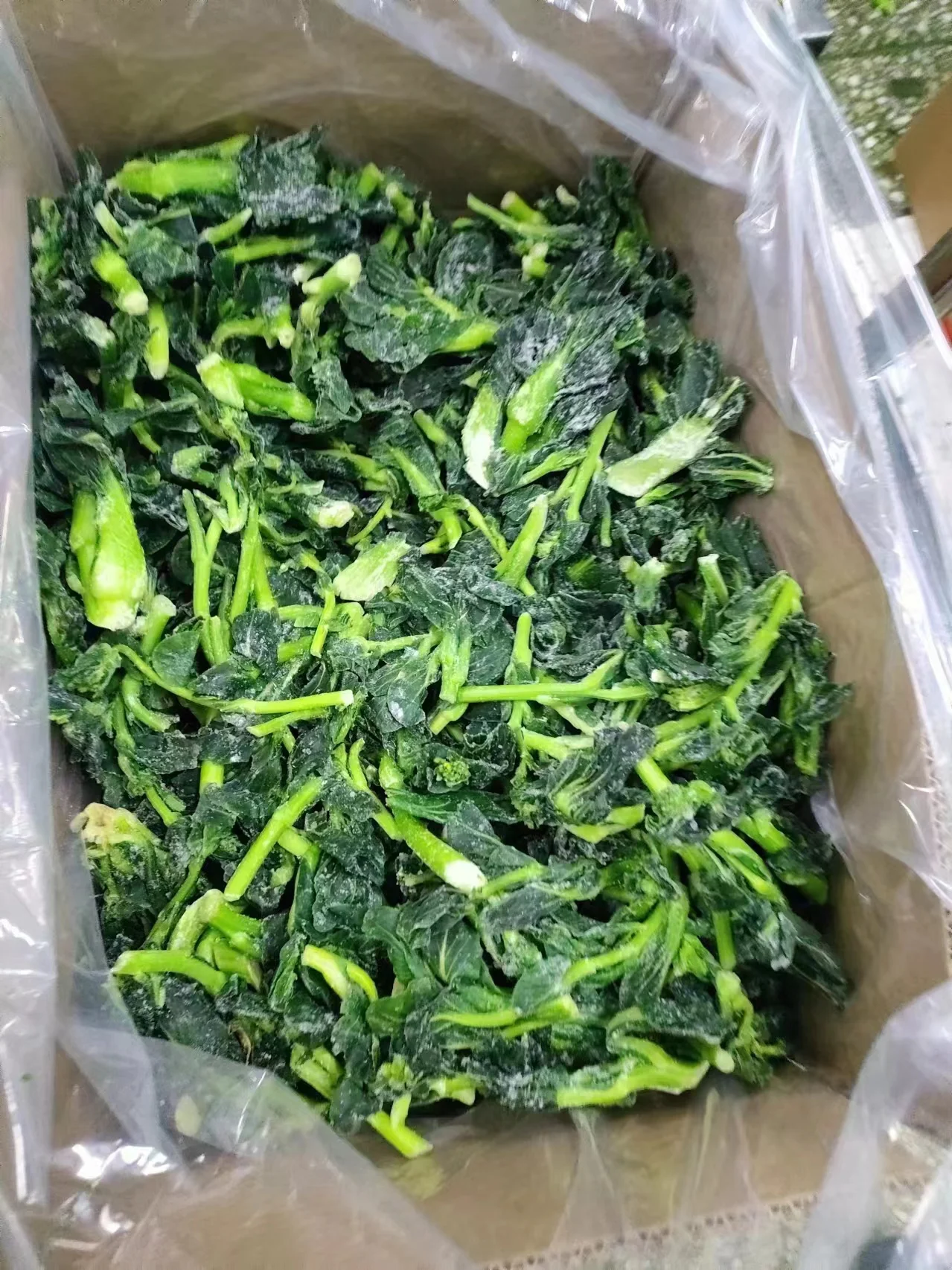 Оптовая цена 10 кг Оптом Зеленая свежая китайская брокколи IQF Choy Sum