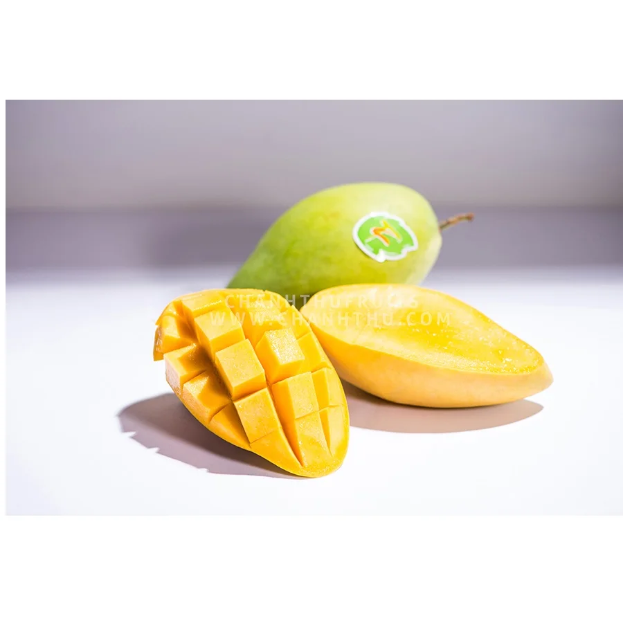 Top Quality Vietnam Common Cultivation Type Green Color Sweet Taste Fresh Mango Export In Carton Box Packaging