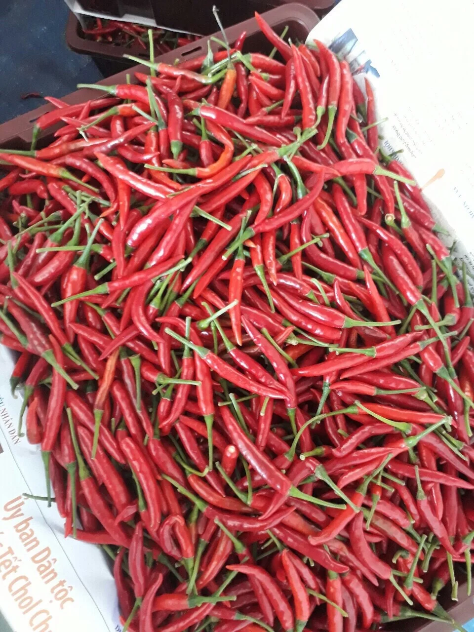  Черный чай православный черный OPA органический свежий из Вьетнама