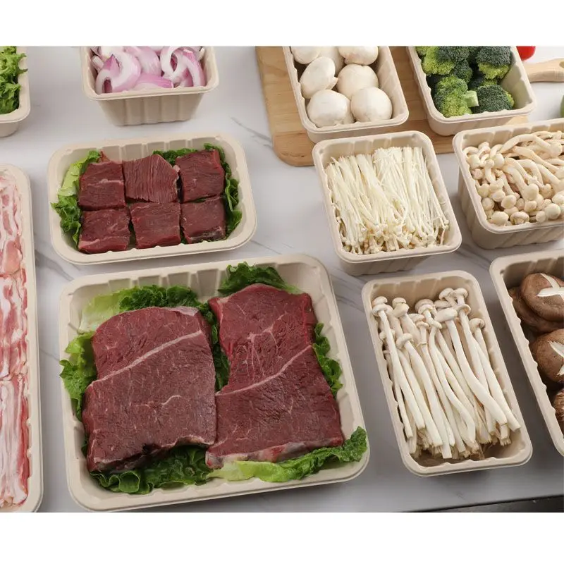 Disposable Sugarcane Bagasse Molding Pulp Mushroom Packaging Trays,Sugarcane Pulp Mold Square Mushroom Fruit Vegetable Tray