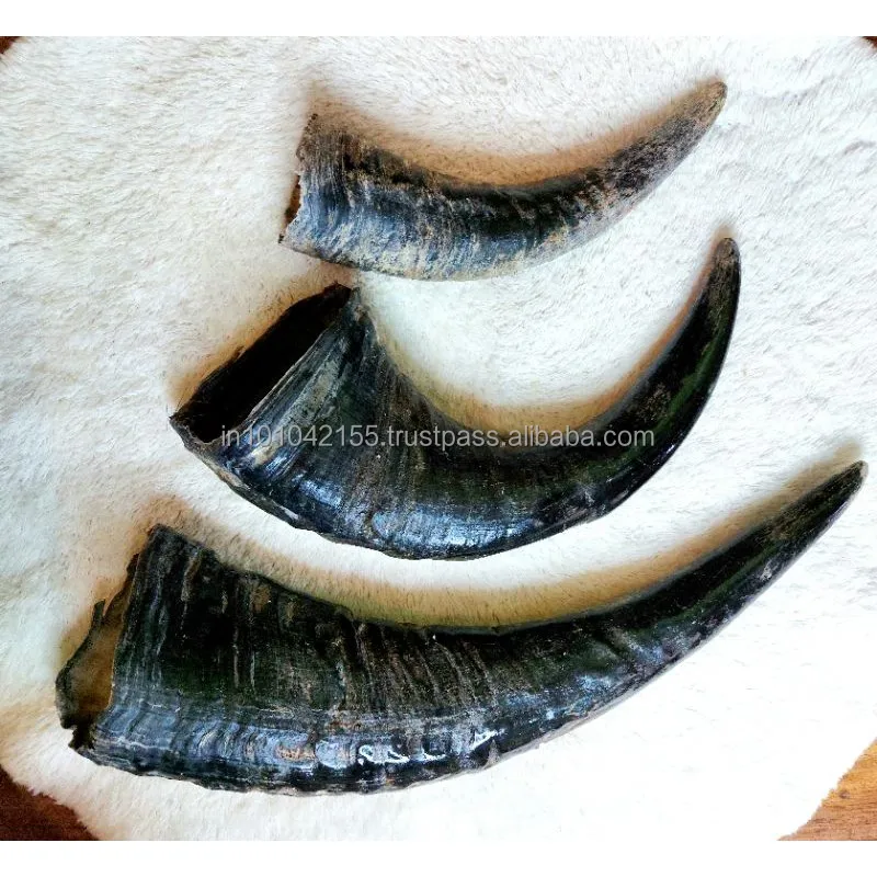  Креативный натуральный рог буйвола