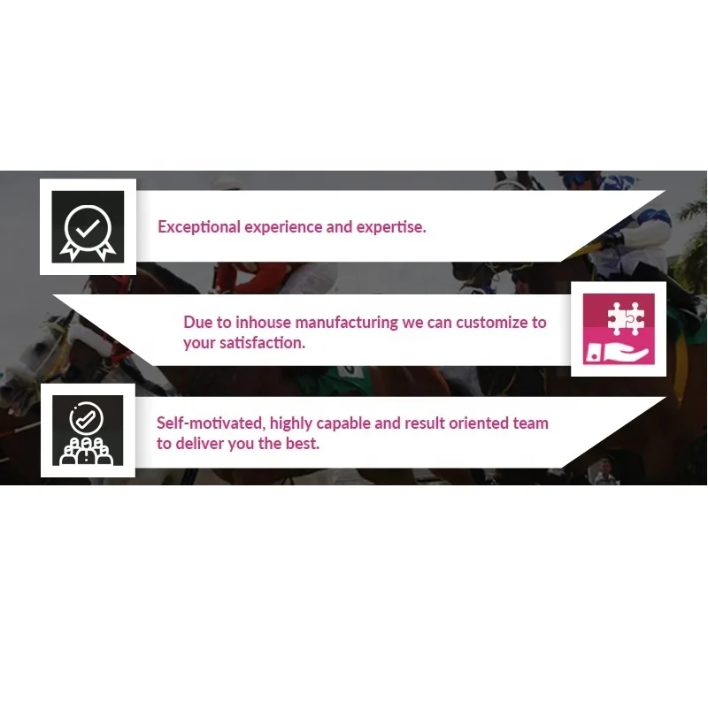 Best Quality Pet product Studs Decorations Genuine Indian Leather Dog Collar Available At Wholesale Price