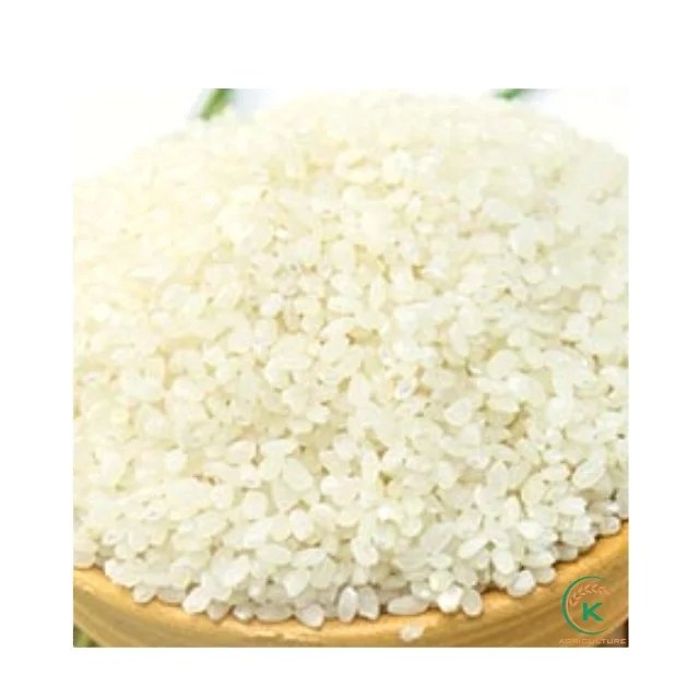 Japonica Medium Grain Vietnam Rice Superior Grade Rice For Sushi / Soft And Flexible Japonica Rice