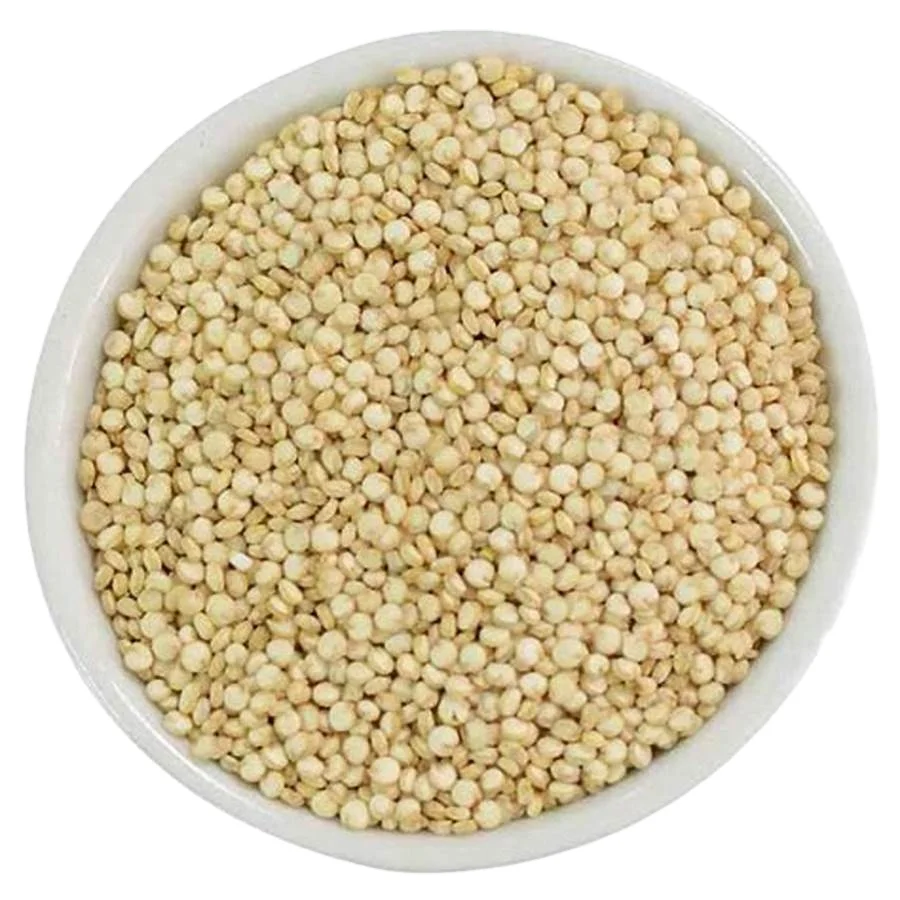 Premium Grade Sorghum Grain White and Red, Indian Sorghum/ White and Red Sorghum High Quality For Sale
