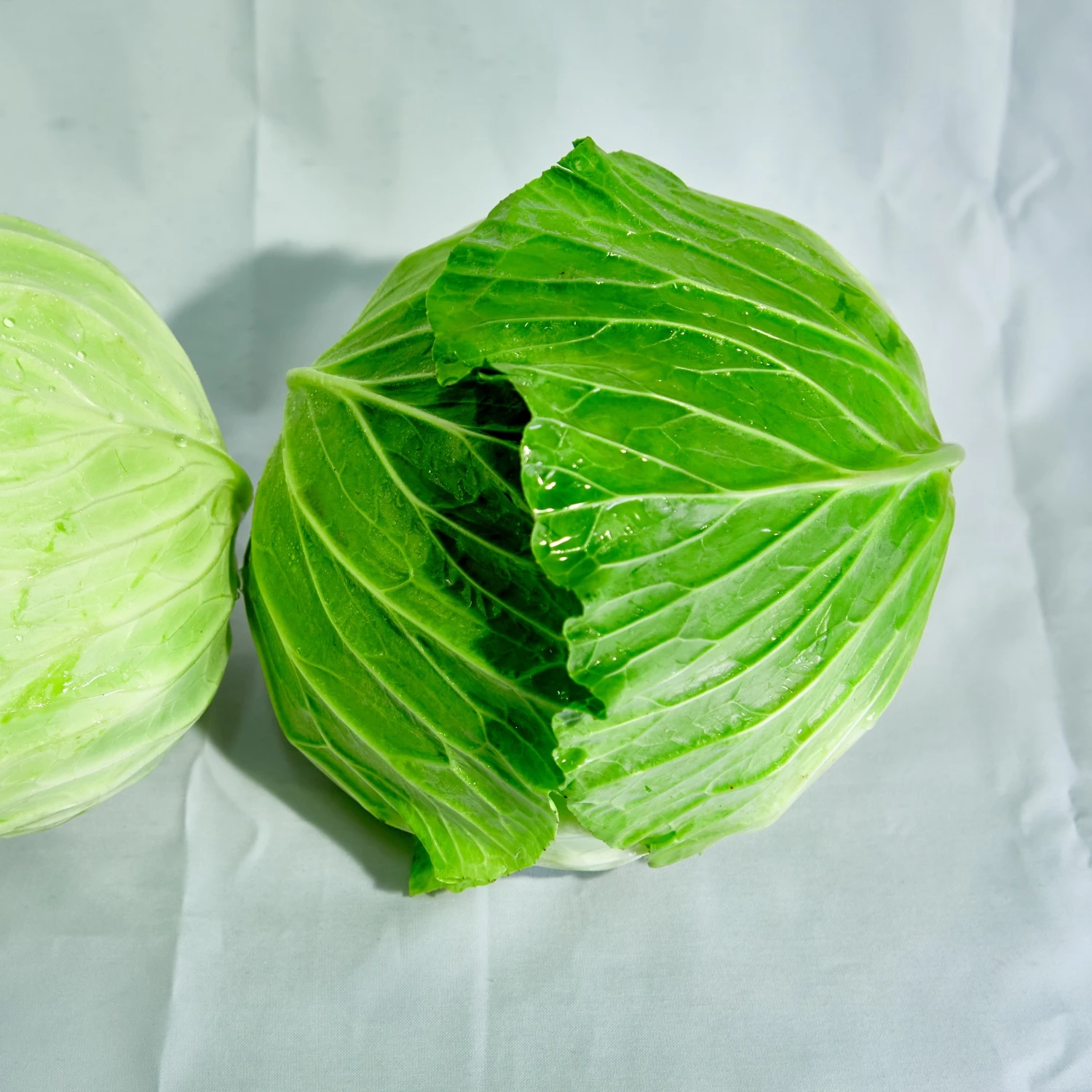 Fresh Cabbages Flavor Crispy And Sweet Shape Round Vietnamese Cabbage From Wholesale Vietnam High Quality Standard Ready To Ship