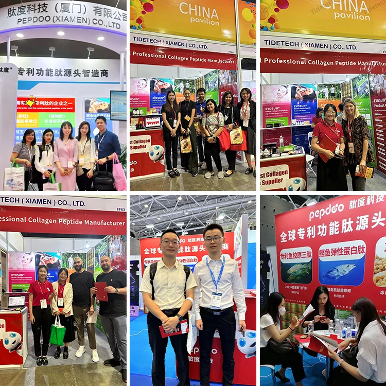 Fish Collagen Low Molecular Weight Dissolve 500 Dalton Hydrolyzed Collagen Tripeptide Water Soluble Collagen Powder