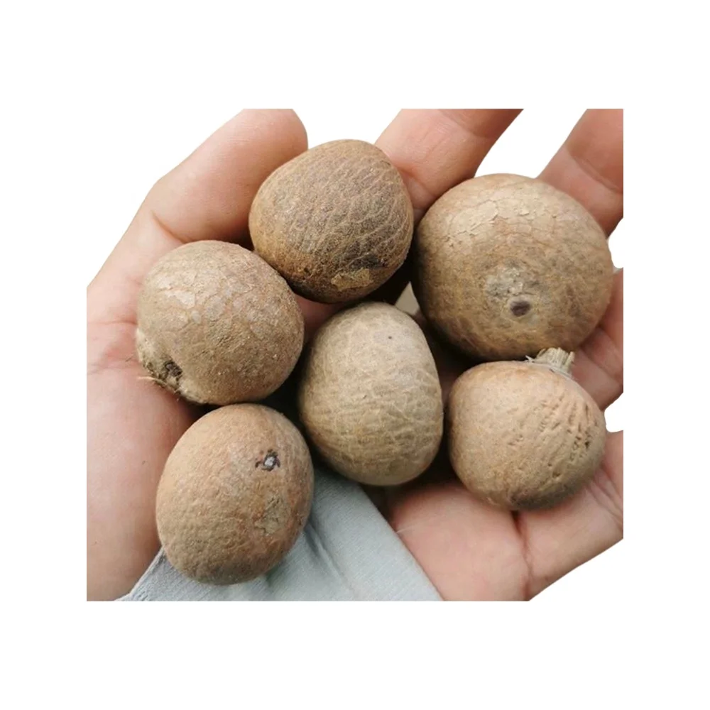 Best Selling Export Quality Areca Whole Betel Nut High Quality Betel Nuts Products From Thailand