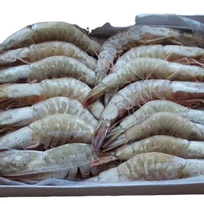 FROZEN  HOSO WHITE SHRIMPS