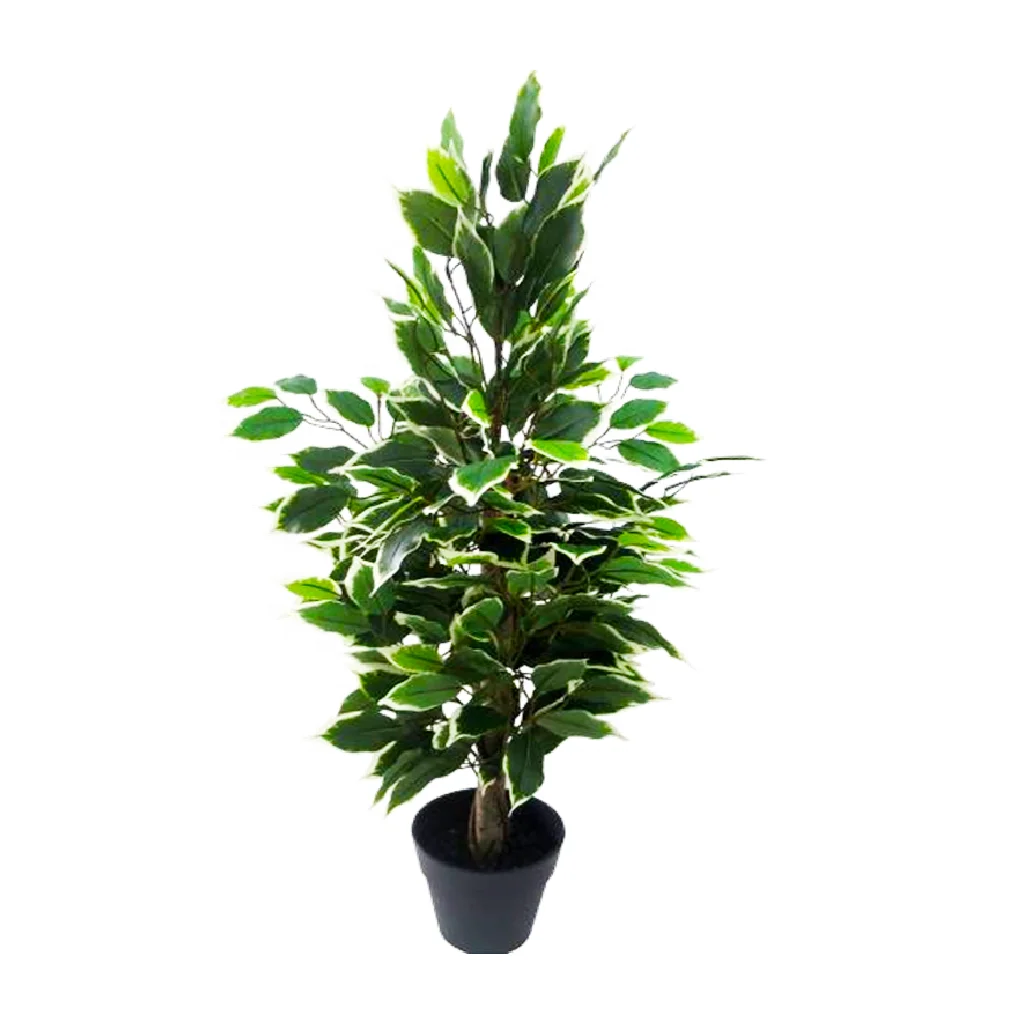 factory sale PE Green different styles season trees Banyan in plastic garden pots Department Stores Hallway home garden