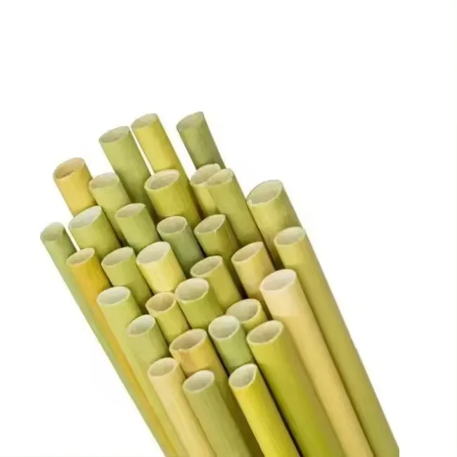 Grass Straw Revolution: How Switching Can Help Combat Climate Change// Mary