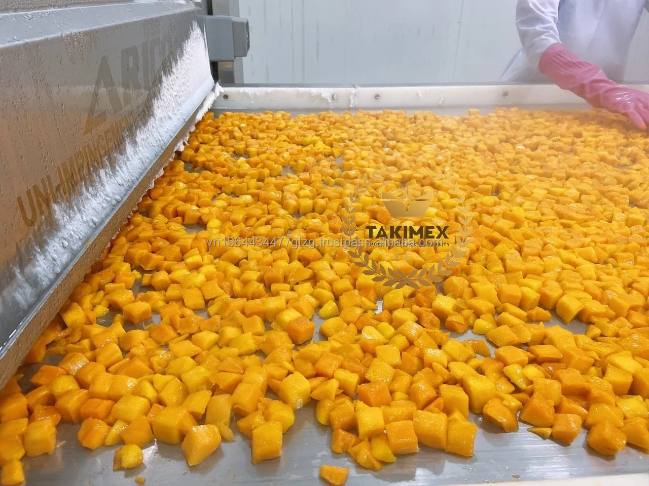 Vietnam Frozen IQF Mango Supplier - Frozen Mango or IQF Mango All Shapes OEM Packing Made in Vietnam