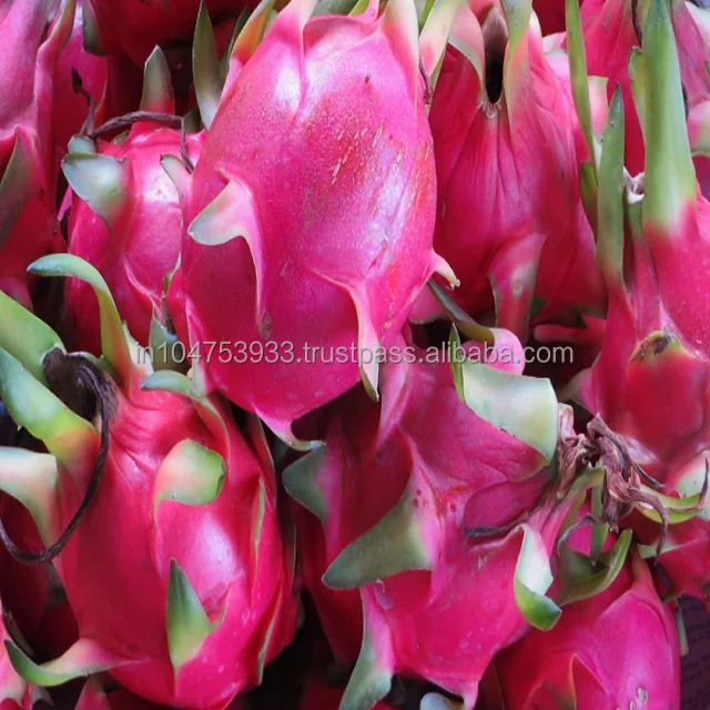  Экспорт свежих фруктов дракона в Индии