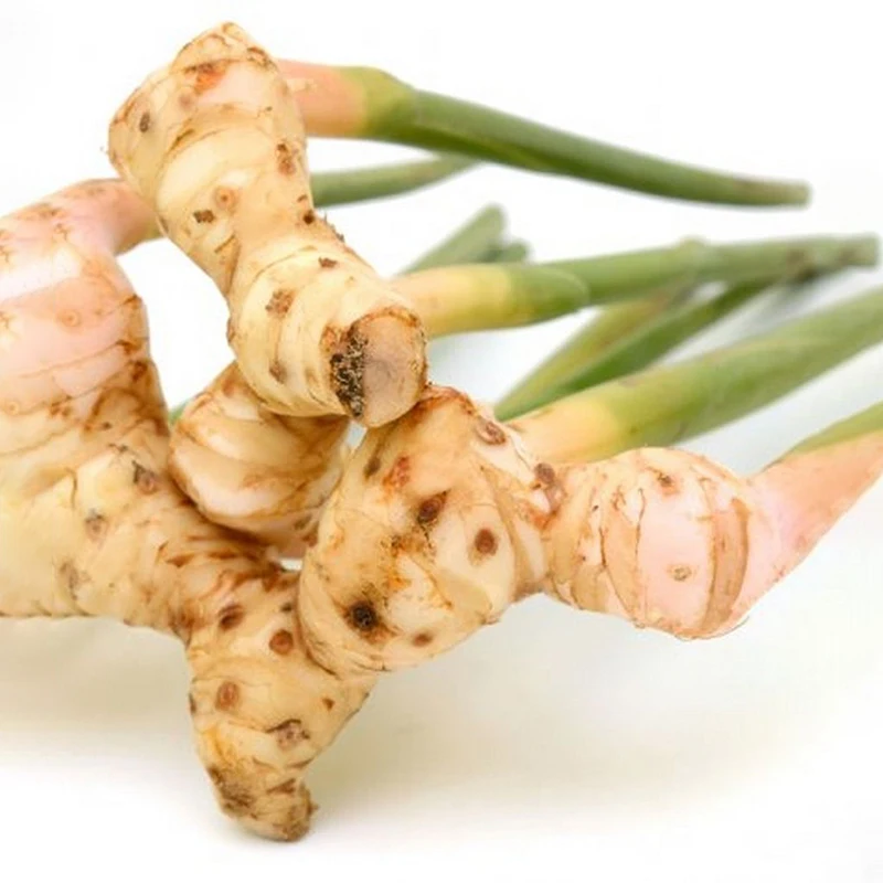 Wholesale Premium Quality Galangal Root Red Galangal For Sale Dried Galangal Root